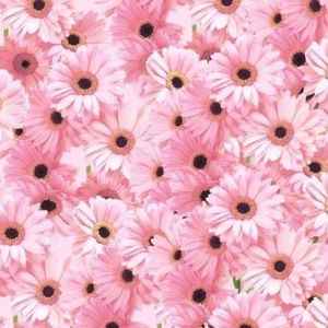 Meet your Posher, Kendall